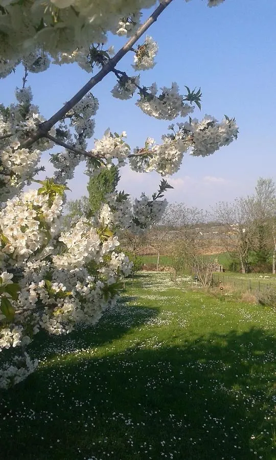 Monte Maino Bed & Breakfast Desenzano del Garda 0*,