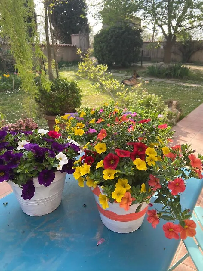 Monte Maino Bed & Breakfast Desenzano del Garda